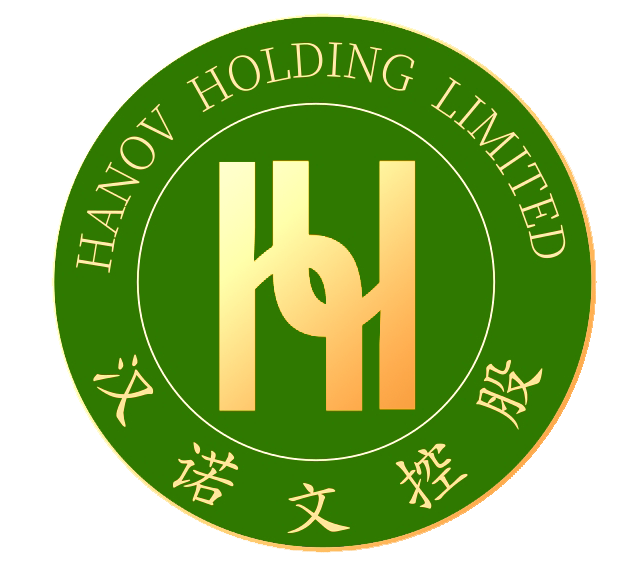 汉诺文控股